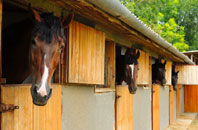 free Pendomer stable construction quotes